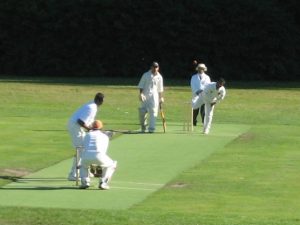 Actualidad del cricket en España